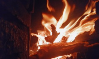 怎么烧火 森林之子木材怎么烧火
