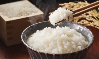 梦见吃米饭 梦见吃米饭是什么意思