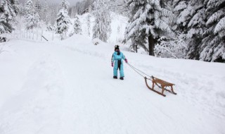 梦见雪地（梦见雪地是什么征兆）