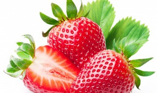 妙香七号草莓品种特点（妙香七号草莓品种特点介绍）