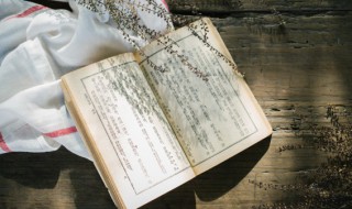 关于高冷的网名 关于高冷网名女