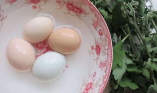 煮鸡蛋祛湿是什么原理 煮鸡蛋祛湿是什么原理呢