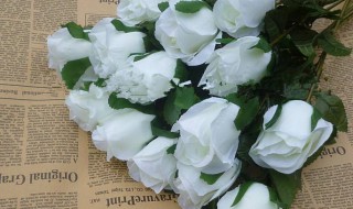 白玫瑰真正的花语 白玫瑰花语