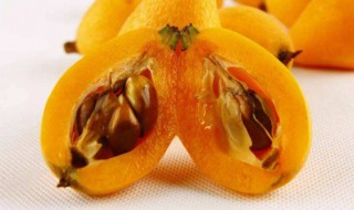 枇杷籽煮水可冶咳吗 枇杷籽煮水可止咳吗