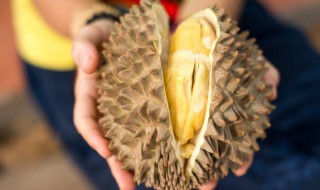 榴莲烂了还能吃吗 榴莲烂了还能吃吗?榴莲坏了是什么味道?