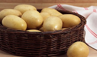 春天怎么保存土豆 春天怎么保存土豆不烂