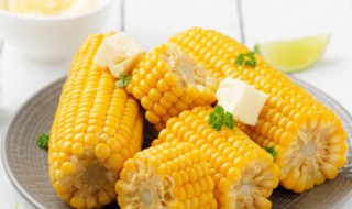简述玉米购种的注意事项 买玉米种有应注意什么