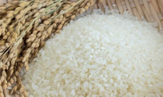 长虫的米可以吃吗（大米生白色蠕虫叫什么）