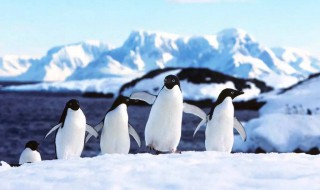 南极怎么判断经纬度 南极判断经纬度题目及答案