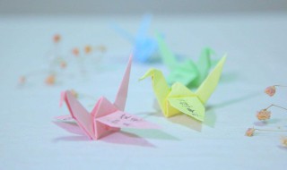 千纸鹤怎么叠 千纸鹤怎么叠一步一步教程视频