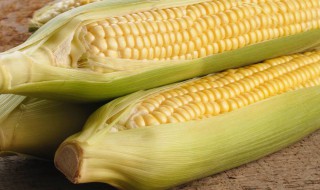 新鲜玉米可以怎么保存 新鲜玉米怎么保存到冬天吃