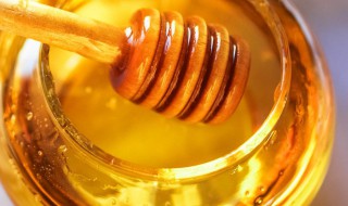 吃蜂蜜的好处 吃蜂蜜的好处有哪些