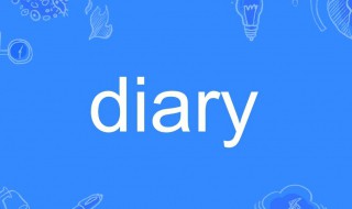 diary是什么意思 Time diary是什么意思