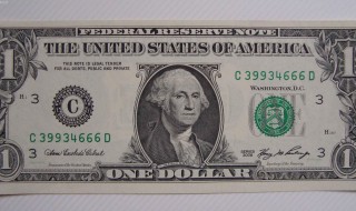 dollar是什么意思（onedollar是什么意思）