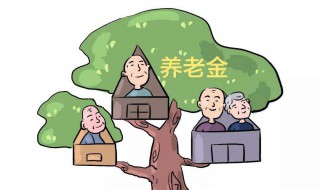 养老金缴费基数介绍（养老金的缴费基数标准）