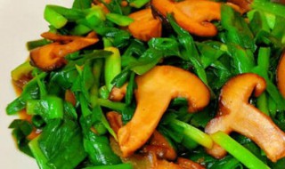 香菇炒油菜的家常做法 香菇炒油菜的家常做法步骤