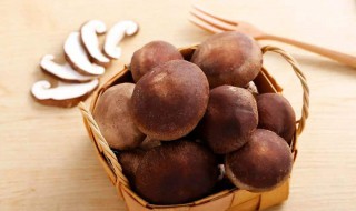 香菇的功效 香菇的功效与作用及营养价值