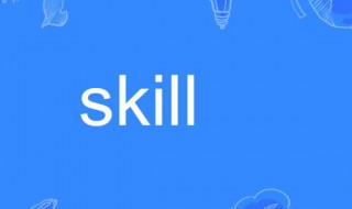 skill是什么意思（skills是什么意思）