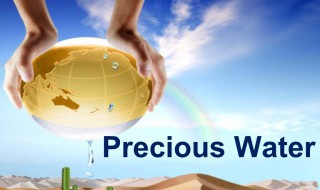 precious是什么意思 precious是什么意思中文翻译怎么读