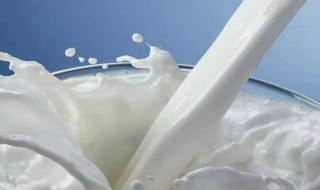 牛奶的营养成分（牛奶的营养成分表100克是多少）
