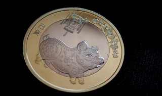猪年纪念币就是 猪年纪念币是什么材质