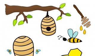 树新蜜蜂用英语怎么说 伤心的蜜蜂用英语怎么说