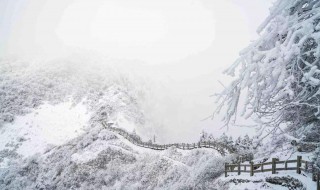 窗含西岭千秋雪的下一句 窗含西岭千秋雪诗全文