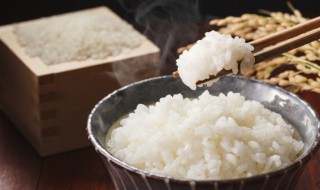 热水一泡就熟的米饭是什么（开水一泡就熟的米饭）
