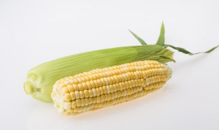 水果玉米和普通玉米有什么区别（水果玉米和普通玉米有什么区别含糖量高吗）