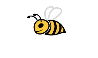 蜜蜂还有哪些特点和生活习性呢