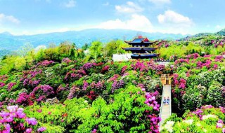 毕节市旅游景点有哪些（五一毕节市旅游景点有哪些）