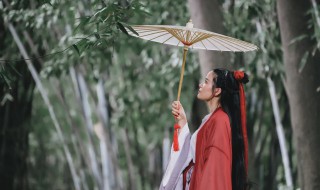 小雨沙沙歌词（小雨沙沙歌词图片）