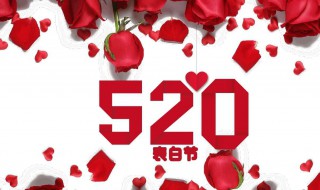 520表白的精选话 520表白经典语段