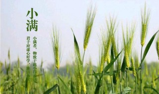 小满节气吃什么水果 小满节气吃什么水果蔬菜