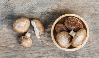 泡好的香菇怎么保存 泡好的香菇怎么保存方法