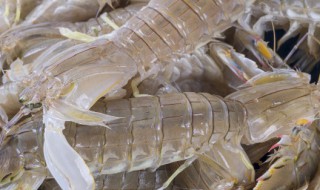 海龙虾怎么做好吃 海龙虾怎么做好吃视频