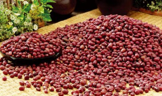 红小豆怎么做好吃 红小豆怎么做好吃又营养