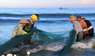 梦见河里好多大鱼 梦见河里好多大鱼都死了