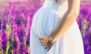 孕妇多喝水对胎儿有什么好处 孕妇多喝水的好处?