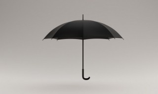 伞的起源 伞的起源和制作工序
