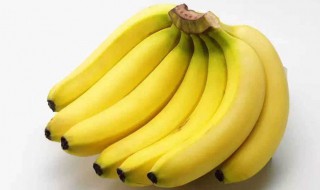 香蕉的寓意是什么（开业送香蕉的寓意是什么）