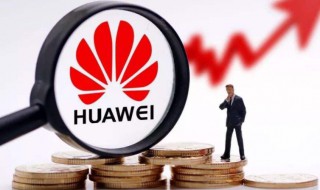 什么是华为定律 华为定律是什么意思