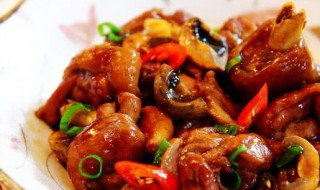 蘑菇红烧鸡的家常做法（红烧蘑菇炖鸡的家常做法）
