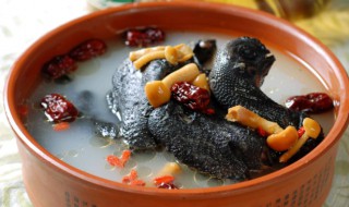 金虫草乌鸡汤的家常做法（金虫草煲乌鸡汤）