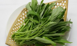 空心菜和豆腐能一起吃吗（豆腐和空心菜相克吗）