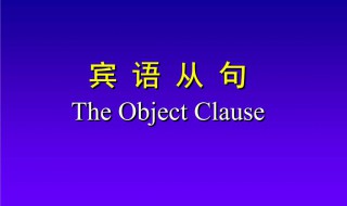 宾语从句例句 宾语从句例句简单