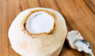 椰子冻的做法 椰子冻的做法是什么
