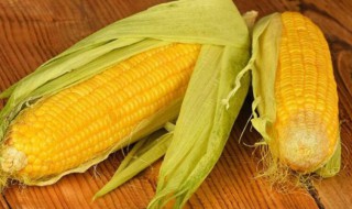 吃玉米有助于减肥吗（吃糯玉米能减肥吗）