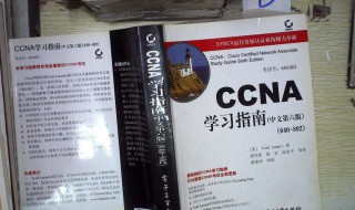 ccna学习指南（ccna自学指南第七版pdf）