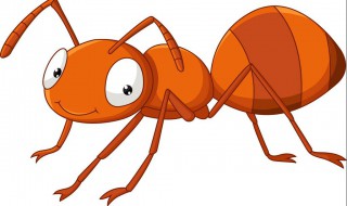 家里有小黄蚂蚁的原因 家里有小黄蚂蚁的原因是什么